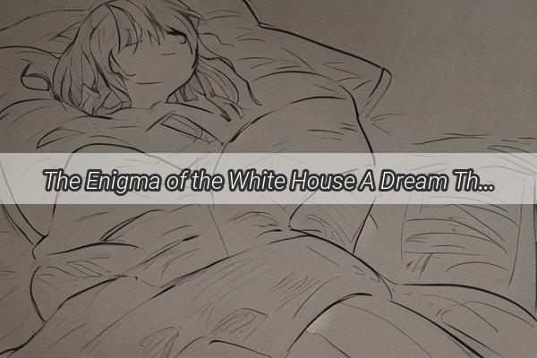 The Enigma of the White House A Dream That Transcends Reality